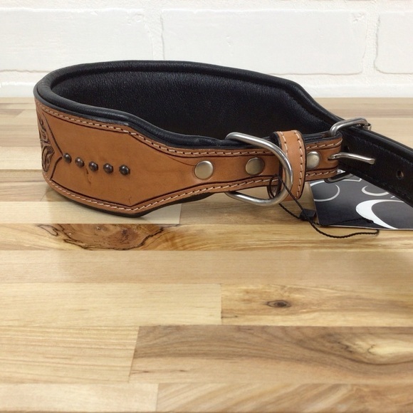 Mad Cow genuine leather western dog collar handmade brown turquoise pink studded - Picture 4 of 16